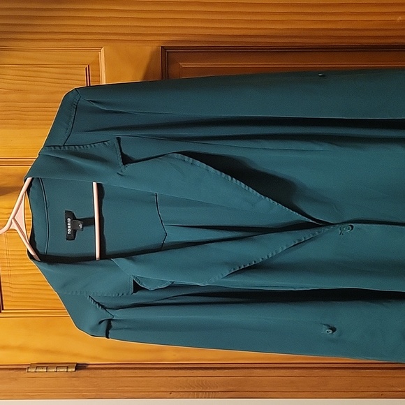 Beautiful Torrid top - Picture 2 of 8